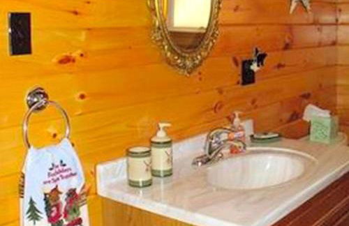 Secluded Cabin Nestled in the Mountains near the Tioga State Forest, Pennsylvania - Foto 37