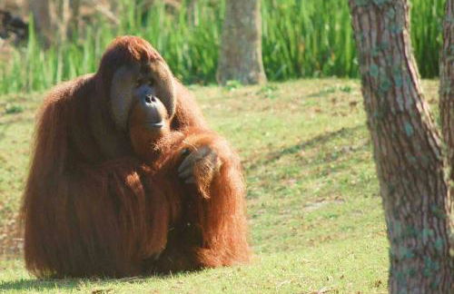 La SeaEsta - Foto 14