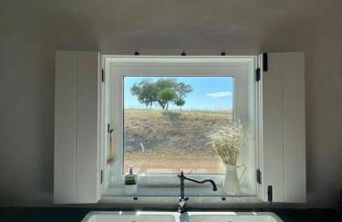 Monte Das 7 Oliveiras - Foto 30