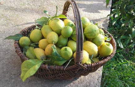 Casa di Ceppo - Foto 7