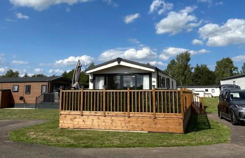 Daffy Duck - Foto 17