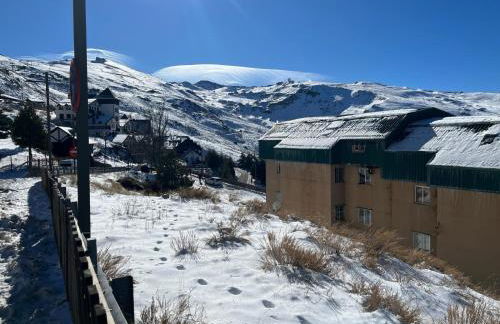 Biznaga Nevada - Foto 42