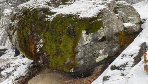 Sweet getaway in private Giant Sequoia Grove! - Foto 5