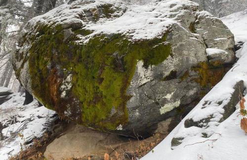 Sweet getaway in private Giant Sequoia Grove! - Foto 5