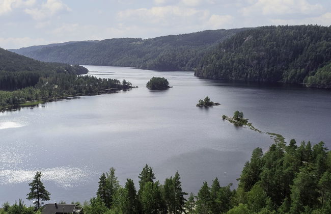 Midtholmen - Foto 41