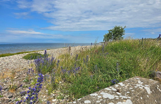 4 Star Holiday Home in Gotlands Tofta - Photo 26