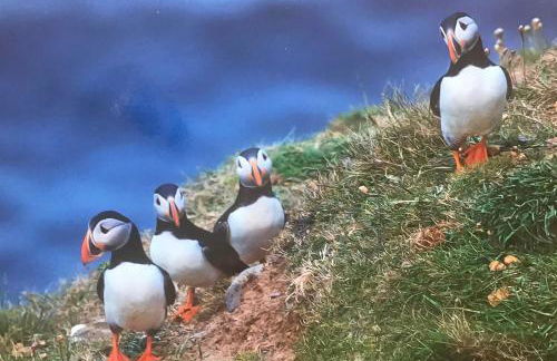 Frankies Flat, a Superb apartment in Flamborough. - Foto 19