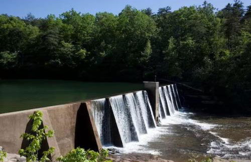 Big Yard Family Getaway - Pets OK - Grill and Hike - Foto 12