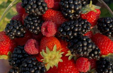 Spacious 4BR Retreat-Lush Garden - Foto 10