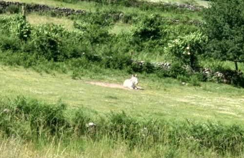 Casa do Carvalho - Foto 24