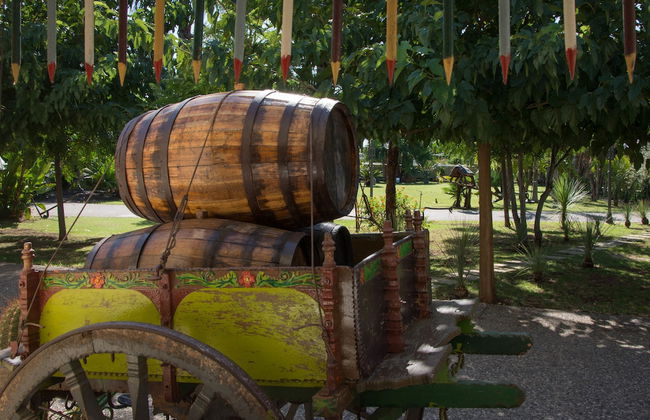 Agriturismo Papyrus - Photo 48