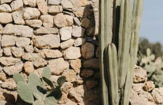 N a k e d S o l - Foto 8