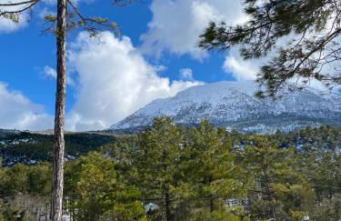 Casita Vista Alegre - Foto 65