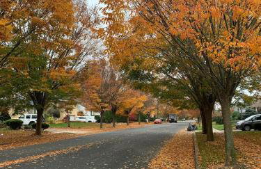 Cozy1B1B W Private Entrance - Photo 1