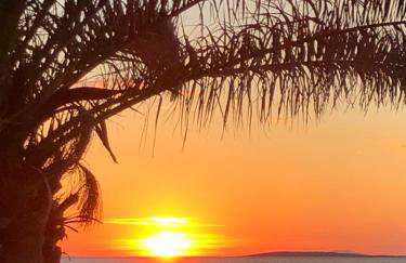 Appartements Antunovic - Foto 8