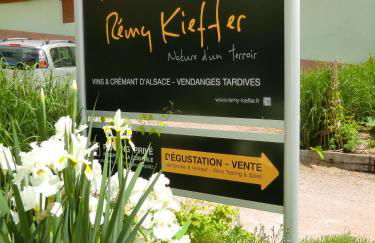 Gîte LES CEPAGES - Foto 28