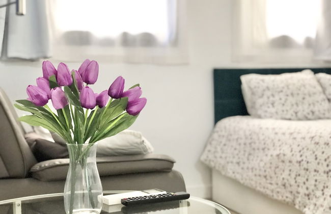 Centro Picacho - Foto 15