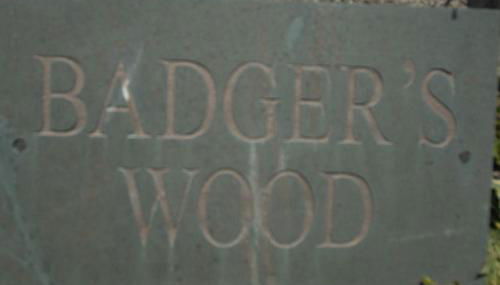 Badgers Wood - Foto 4