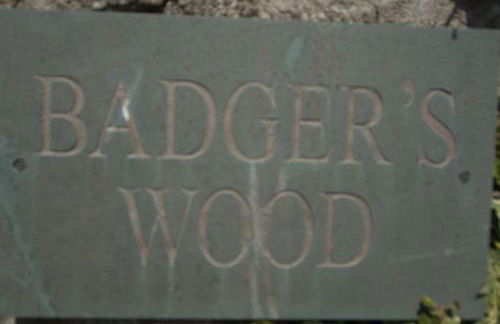 Badgers Wood - Foto 4