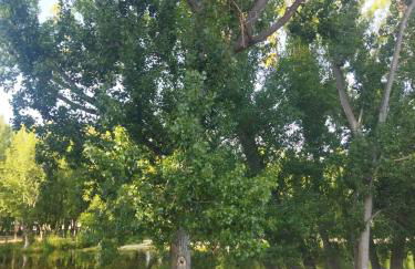 La Casita de Rosi - Photo 22