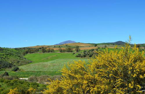 Casa Grande by Rosas Cantares - Foto 6