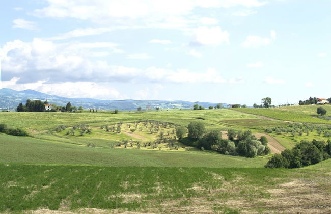 Residence Giuly Rosselmini - Foto 45