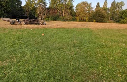 Apartment Sleeps 3 - Garden Pets Welcome - Foto 37