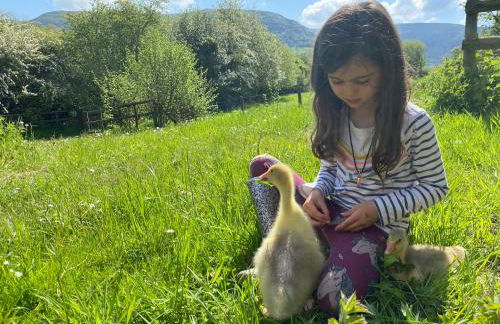 Black Mountains Stylish Hideaway, nr Crickhowell - Photo 12
