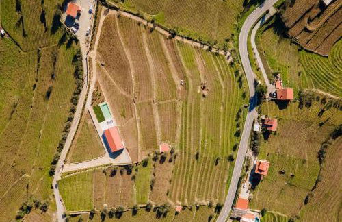 Douro Valley Luxury Home with Vineyard and Infinity Pool - Photo 32