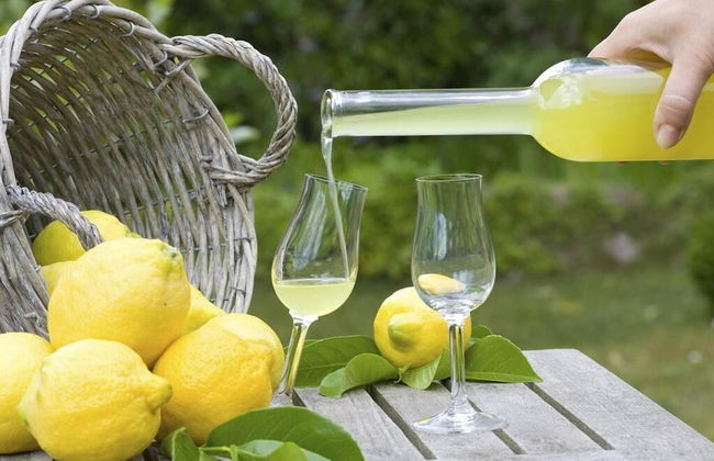 Fazenda Eco Jardim - Foto 24