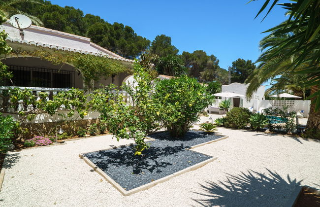 El Palmeral - Foto 39