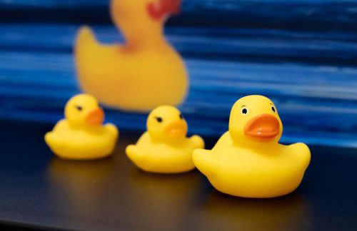 Renatus Apartments - Foto 24