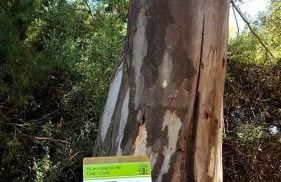 Apartamentos Cap y Corp - Foto 24