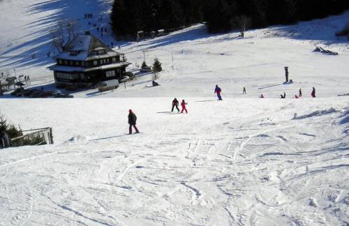 Apartament z kominkiem RetroGlam - Foto 39