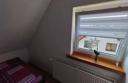 FeWo Zur Alten Drechslerei - Photo 12