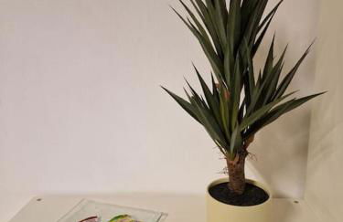 Schöne große Wohnung 2 Schlafzimmer Max 5 Personen - Foto 49