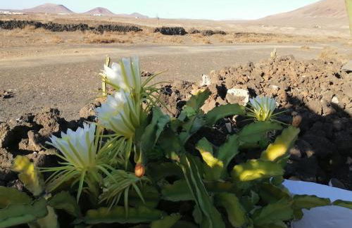 Apartamento Kokozun 28 - Foto 36