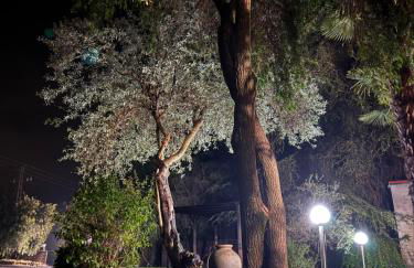 La Casona De Jaraiz - Foto 37