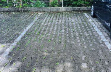 Großzügige Wohnung, Bergblick, Vintage - Foto 18