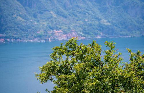 Italian Vacation Homes - Garden Lake Iseo - Foto 41