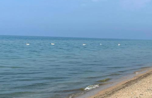 All the Waters Retro Home on Lake Michigan- Your Own PRIVATE BEACH - Foto 55