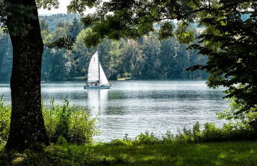 Ferienhaus Waldherr - Fewo 6 Pers - Photo 29