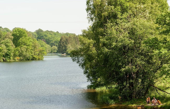 Holiday Home With Sauna in Sourbrodt - Photo 36