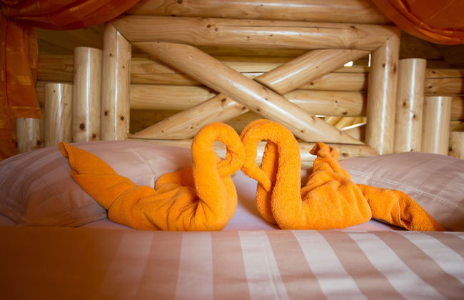 Apartments and wellness center Korošec - Foto 10