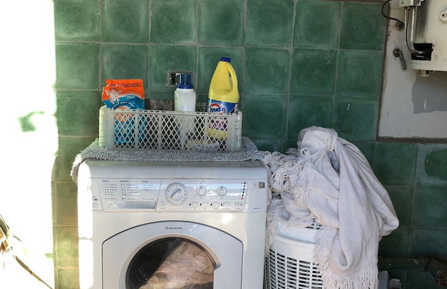 Pura Sangre Chacra - Foto 19