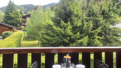 Au centre du village station de ski - Photo 4, Garden view