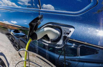 Villa Olea - Cvitani by Villas Guide - Foto 43