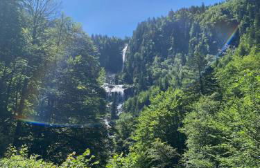 appartement entier Ustou Guzet - Foto 8