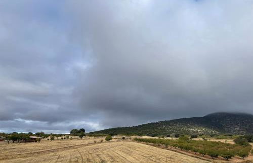 La casica de Pacone, Los Odres - Foto 21