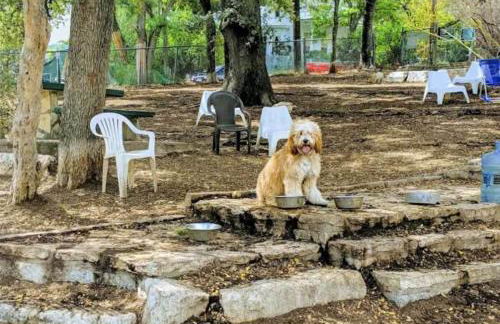 Steps to Downtown- Cozy studio - Quiet neighborhood - Foto 21